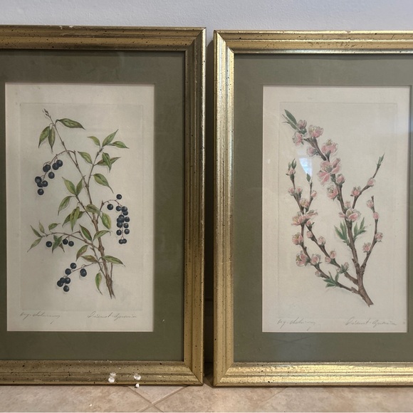 Botanical Lithographs Prints 1/1 set of 2